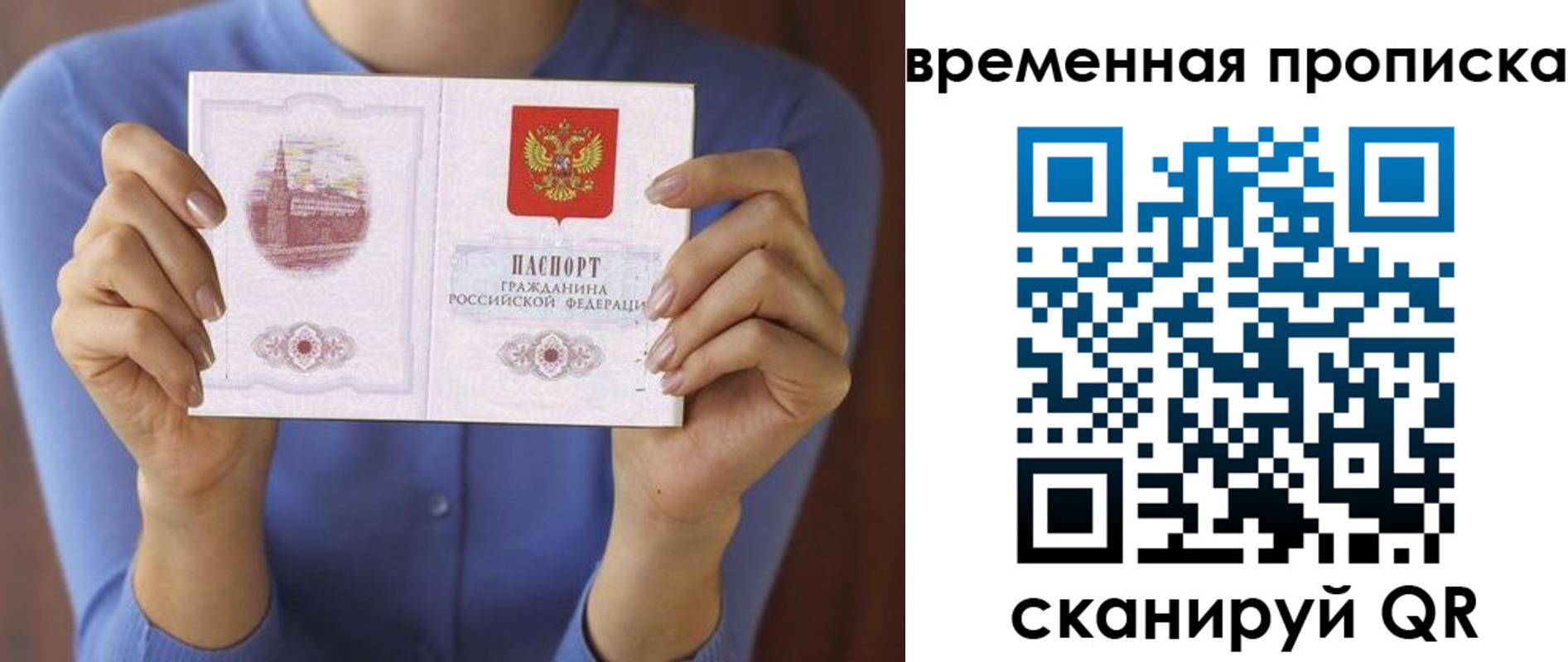 прописка поиск в Ростове
